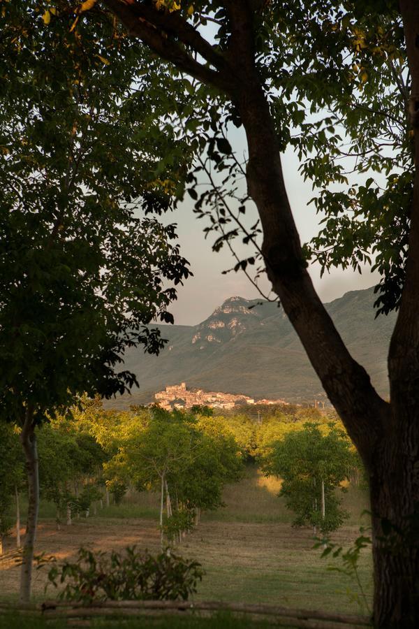 Il Refolo Bed and Breakfast Riardo Εξωτερικό φωτογραφία